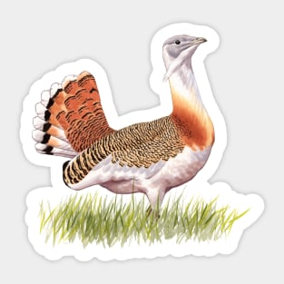 Great Bustard Sticker